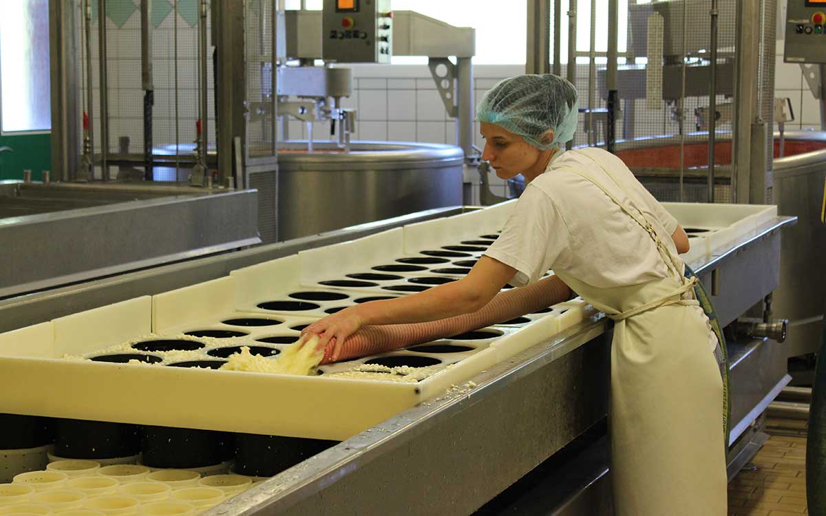 Wie funktioniert die Käseherstellung? Vallée Verte